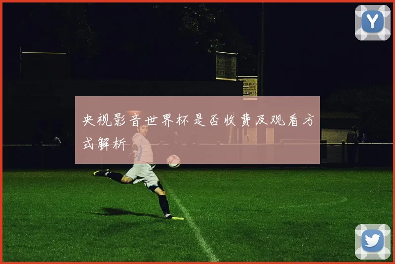 央视影音世界杯是否收费及观看方式解析
