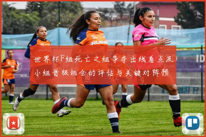世界杯F组死亡之组争夺出线看点及小组晋级机会的评估与关键对阵预测